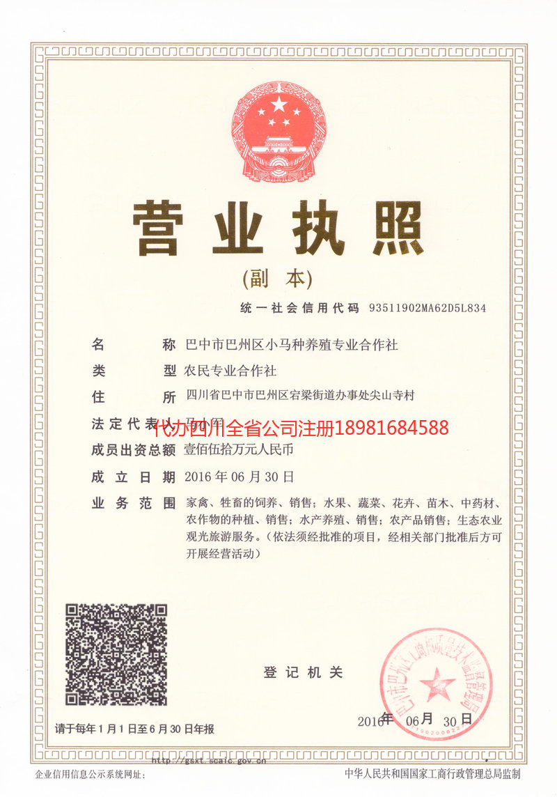 松原松原小马种养殖专业合作社